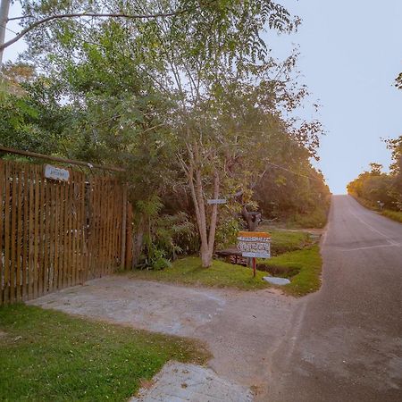 Aruana Suites Seu Refugio Entre Arvores A 5Km Da Vila De Praia Do Forte Exterior foto
